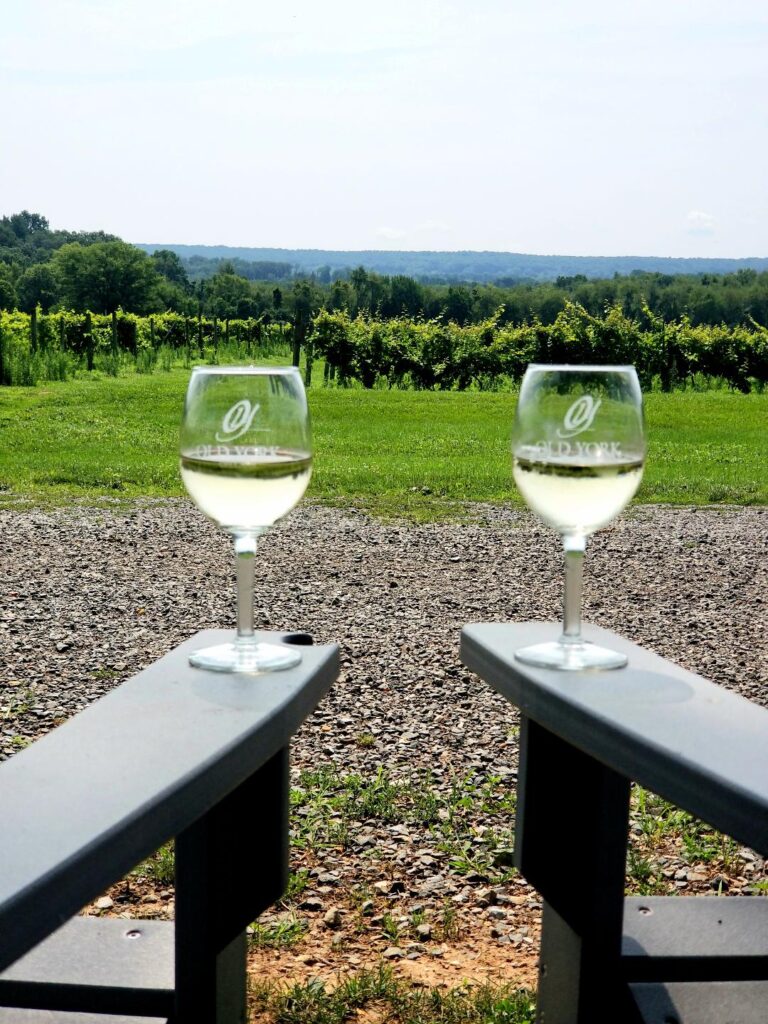 Two glasses of white wine on Adirondack chairs overlooking the vineyard at Old York Cellars on a sunny afternoon.