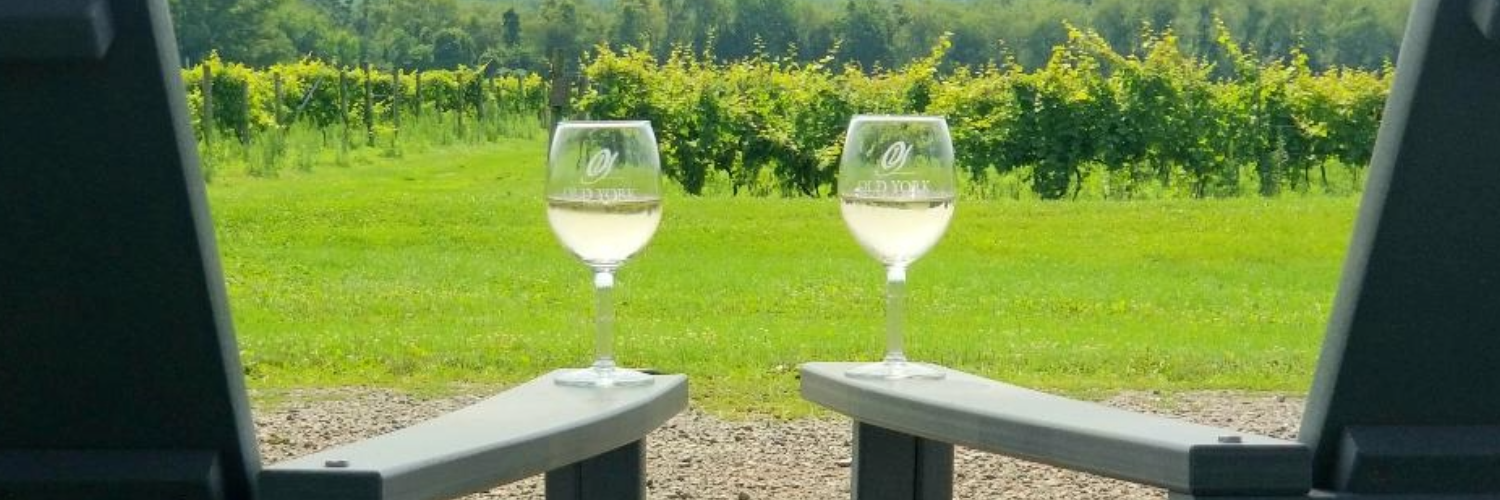 Old York Cellars white wine in glasses resting on armchairs with vineyard views.