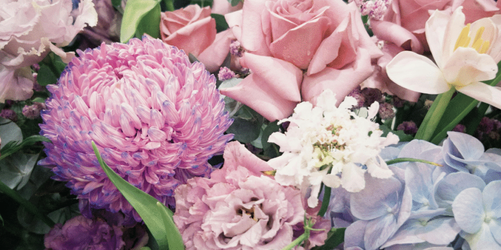 wine pairing dinner spring in spain