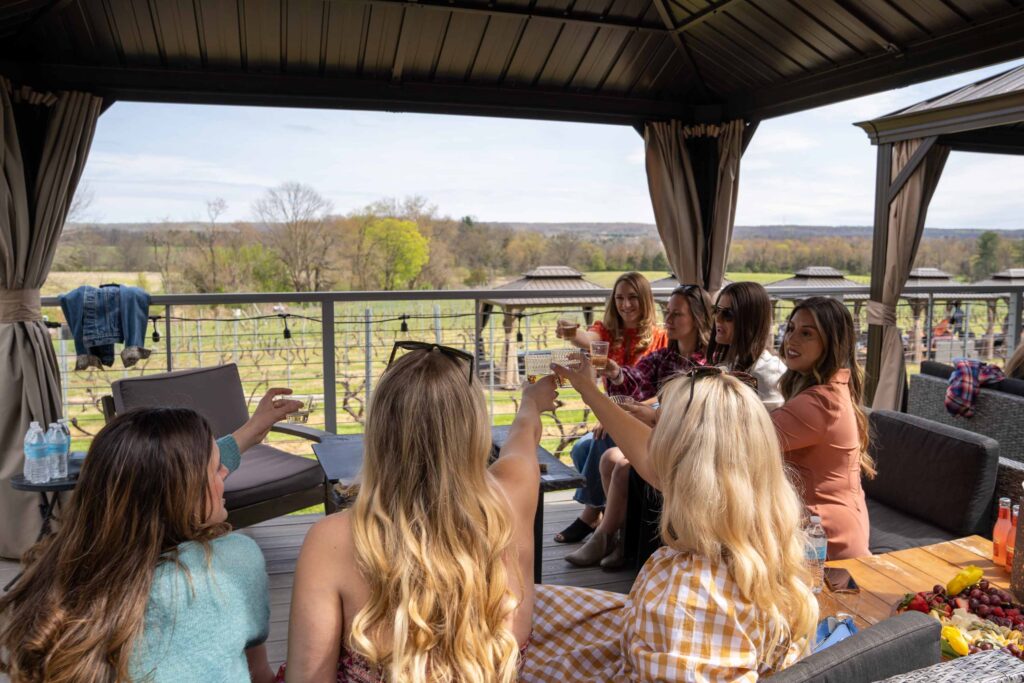 Group of friends enjoying wine and conversation under a cabana overlooking the scenic vineyard at Old York Cellars.