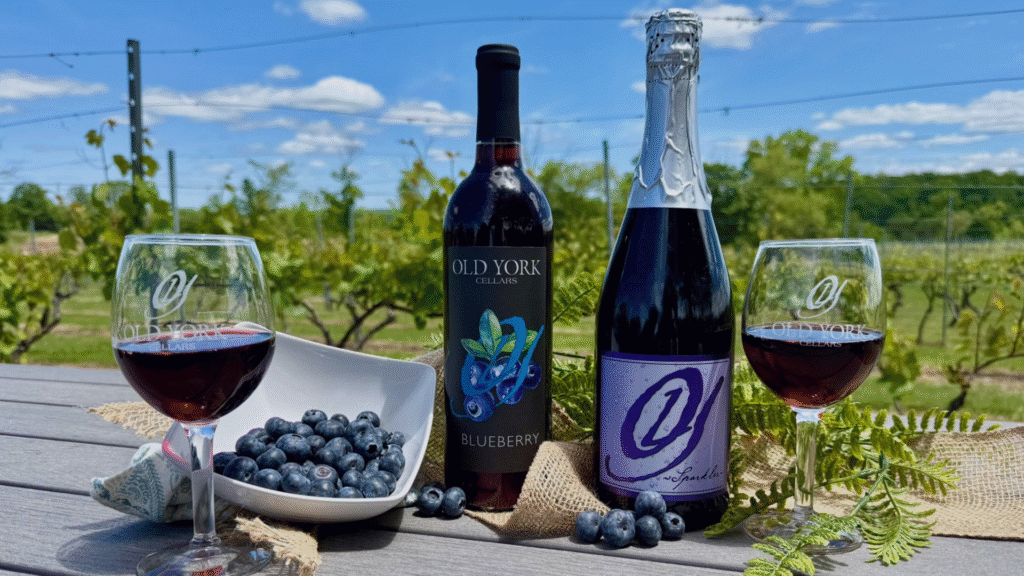 Old York Cellars bottles of Blueberry wine and Sparkling Blueberry wine made with New Jersey fruit with wine glasses and fresh blueberries on a table overlooking the vineyard.