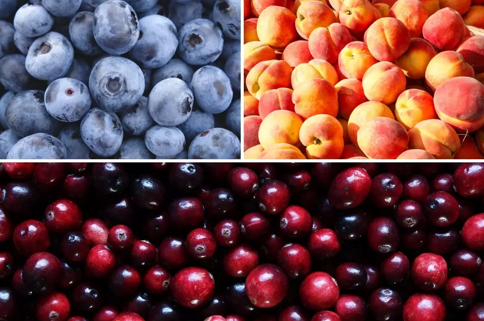 New Jersey‑grown blueberries, peaches and cranberries, New Jersey wineries made extortionary wines from New Jersey fruit.