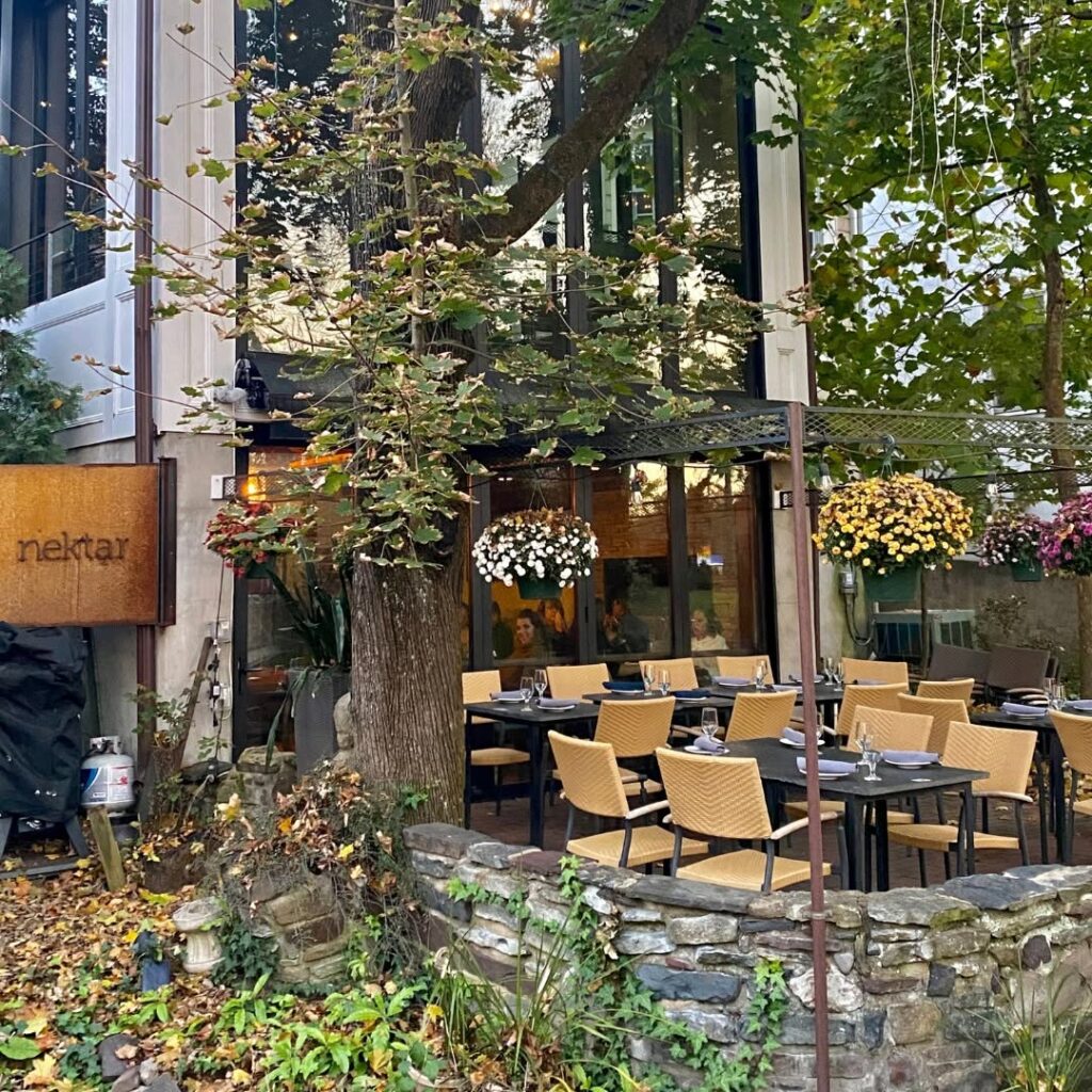 Outdoor seating at Nektar Wine Bar in New Hope, PA with tan chairs, black tables, and hanging flowers.