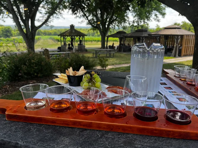 Wine tasting setup at Old York Cellars featuring glasses of wine in varying shades, a pitcher of water, and grapes on a tray with vineyard views in the background.
