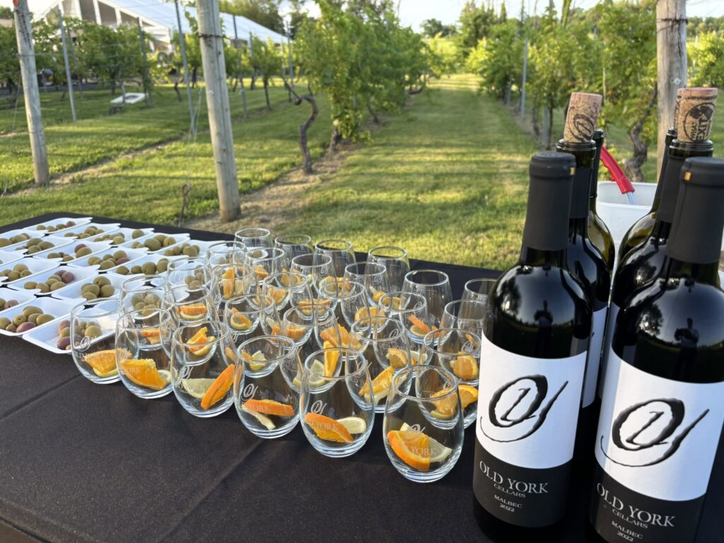 Outdoor wine tasting setup featuring two Old York Cellars bottles and a row of filled glasses on a table overlooking vineyard rows.