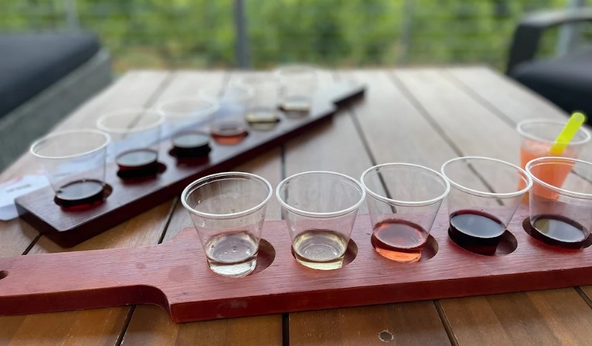 Two self‑guided wine‑tasting flights on a wooden table under a cabana at Old York Cellars in Central NJ, each paddle holding small clear cups of wine in shades from pale gold to deep red. The photo overlooks the lush vineyard, creating a relaxed, scenic atmosphere.