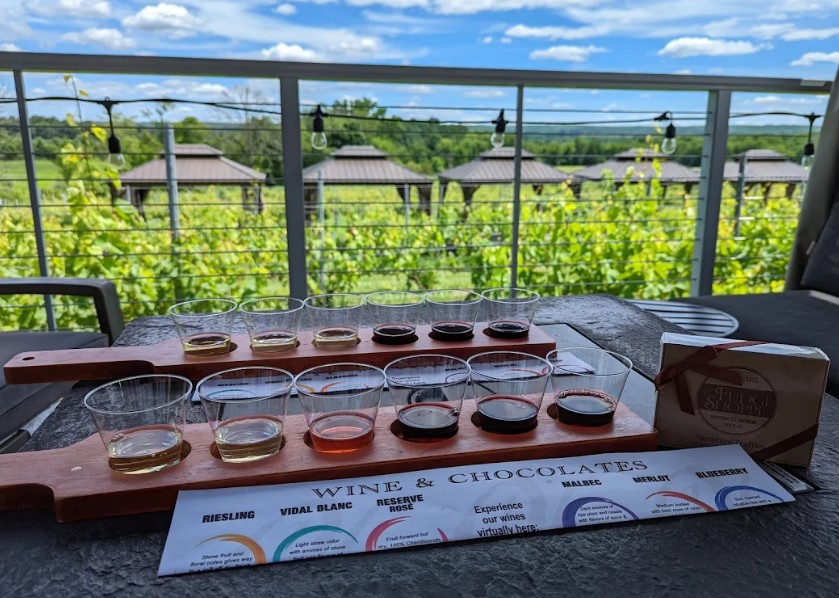 Outdoor wine and chocolate tasting setup at Old York Cellars with glasses of wine overlooking vineyard rows under a bright blue sky.