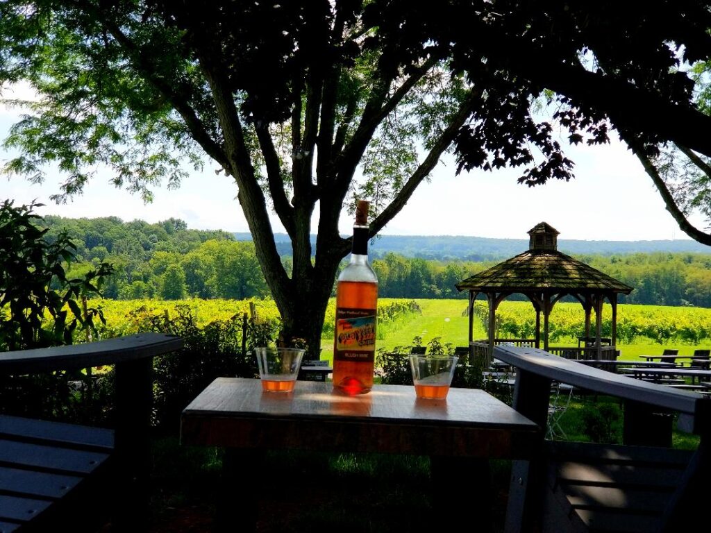 Wine bottles and glasses on a shaded table overlooking the vineyard at Old York Cellars Winery in Hunterdon County, NJ.