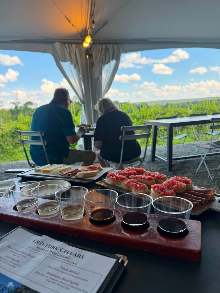 Guests enjoy a wine and food tasting at Old York Cellars in Ringoes, NJ. A table under a canopy overlooks the vineyard with flights of wine and plates of cheeses and meats, capturing the scenic Central NJ winery experience.