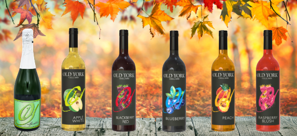 Six bottles of Old York Cellars fruit wines—apple, blackberry, blueberry, peach, and raspberry—arranged on a rustic wood table with fall leaves.